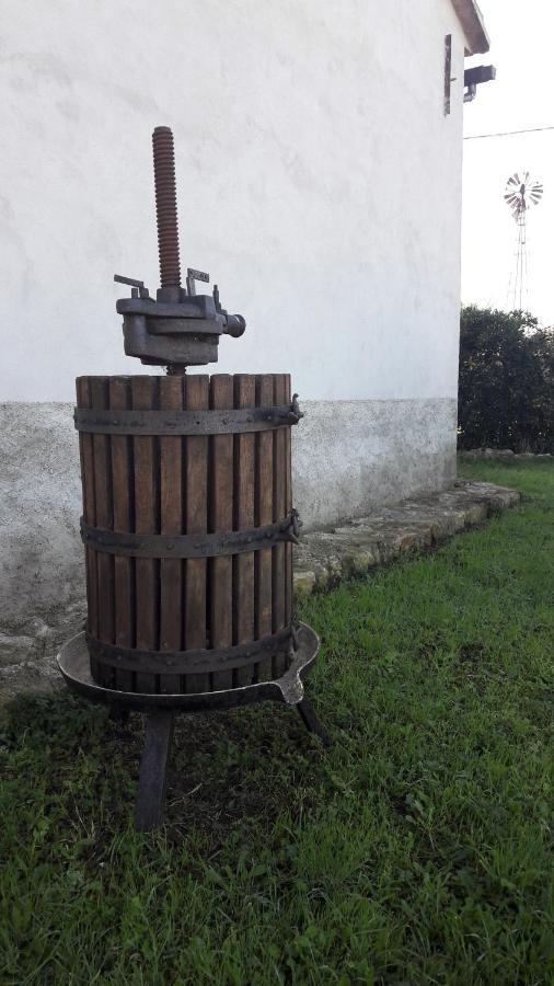 Agriturismo Monte Alzato Capalbio Ngoại thất bức ảnh