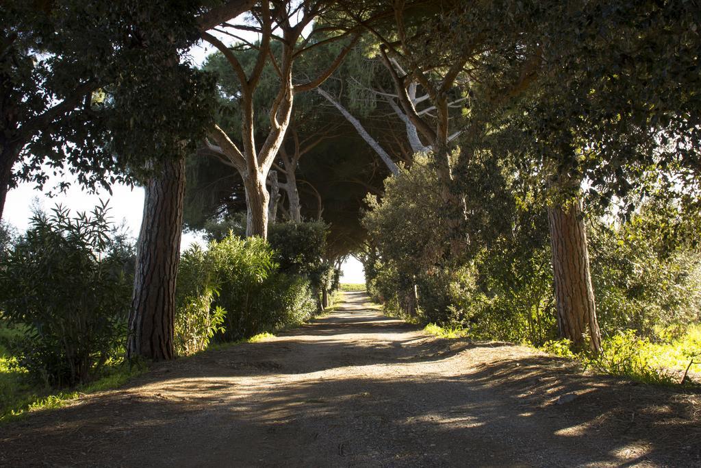 Agriturismo Monte Alzato Capalbio Ngoại thất bức ảnh